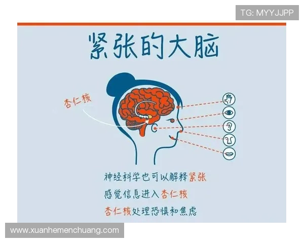 成都飞盘队的心理素质探讨与竞技表现的关系分析