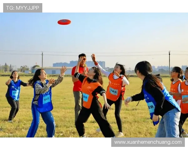 飞盘热潮席卷杭州飞盘队协作创新引发广泛关注与讨论